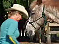 Royalty Free Stock Video HD Footage Trainer Works With a Horse on a Ranch in Ft Lauderdale Florida | BahVideo.com