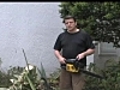 Chainsaw and Poisonous plant | BahVideo.com