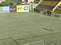 Goal Keeper Scores Goal | BahVideo.com