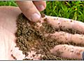 Inspecting Garden Soil Conditions | BahVideo.com