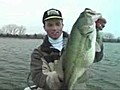 March Lunker Bass Fishing Spring Lake State Park | BahVideo.com