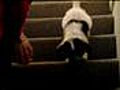 Oliver on the Stairs | BahVideo.com