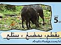 learn Arabic-Learn with Arabic jungle animals  | BahVideo.com