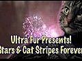  Stars amp Cat Stripes Forever - Ultra Fur  | BahVideo.com