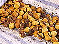 How to Roast Hazelnuts | BahVideo.com