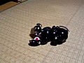 ３６３アイボーンと戯れ | BahVideo.com