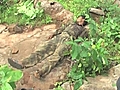 Maoist killed in Keonjhar | BahVideo.com