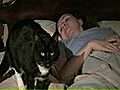 Why to Avoid Sleeping with Pets | BahVideo.com