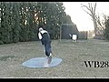 World s Best Wiffle Ball Pitcher | BahVideo.com