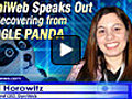 Permanent Link to DaniWeb Speaks out on Recovering from Google Panda | BahVideo.com