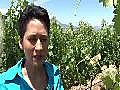 wine and women in South Africa | BahVideo.com
