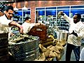 Top Chef - Season 8 Episode 5 | BahVideo.com