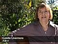 Colette Livermore Talks About Hope Endures | BahVideo.com