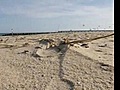 Sand a Buckrow Beach to be Replenished | BahVideo.com