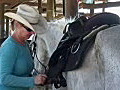 Royalty Free Stock Video HD Footage White Horse Gets a Saddle on a Ranch in Ft Lauderdale Florida | BahVideo.com