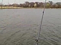Spring Break Fishing | BahVideo.com