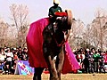 Elephant Beauty Pageant | BahVideo.com