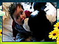 America s Cutest Dog Baby Kissing Dog | BahVideo.com