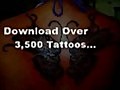 Butterfly Tattoo Design Galleries - Lots of Ideas | BahVideo.com