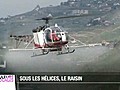 VD sur les coteaux du Lavaux la chasse au  | BahVideo.com
