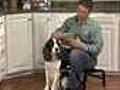 How To Clean Your Dog s Ears DrsFosterSmith com | BahVideo.com