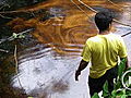 Planet 100 Oil Vs The Amazon 3 4  | BahVideo.com