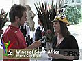 Wines of South Africa World Cup Braai | BahVideo.com