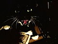 My Cat From Hell Minibar s Last Stop | BahVideo.com