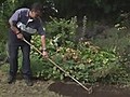 How To Renovate A Lawn | BahVideo.com