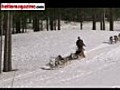 Take the reins for a spot of dog sledding in Quebec | BahVideo.com