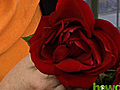 How to force roses to open | BahVideo.com