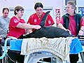Penguin survives operations after straying  | BahVideo.com