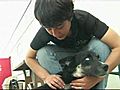 Dog Survives Shooting Gives Birth | BahVideo.com