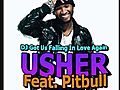 Usher Feat Pitbull Dj Got Us Falling In Love  | BahVideo.com