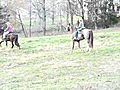 Walking Horse is Priceless for Young Riders | BahVideo.com