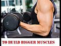 Build Muscles Guide | BahVideo.com