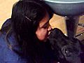 Dog kissing girl D | BahVideo.com
