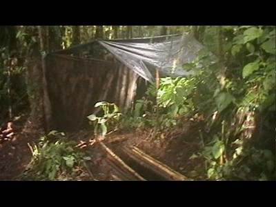 M ximo jefe de FARC escapa por tercera vez de  | BahVideo.com