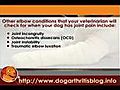 Front Leg Problems in Dog Arthritis | BahVideo.com