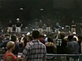 Pooping pigeons shut down Kings of Leon concert | BahVideo.com