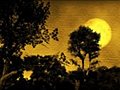 1057 Painted China Moon Forest Stock Footage | BahVideo.com
