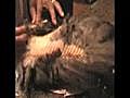 Tommy Morgan Plucks Wild Turkey Brush  | BahVideo.com