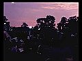 Glastonbury Fayre | BahVideo.com
