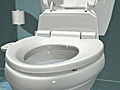 C3 Toilet Seat Comfort | BahVideo.com