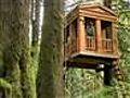 Tree houses get tricked out | BahVideo.com