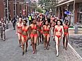 World s Largest Bikini Parade | BahVideo.com
