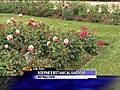Gardening tips from the folks at Boerner Botanical Gardens | BahVideo.com