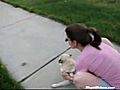 Le chien pleurnicheur | BahVideo.com