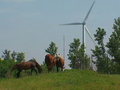 Town uses wind power | BahVideo.com