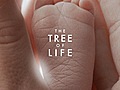 The Tree of Life | BahVideo.com